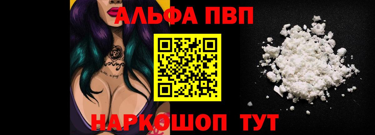 Alfa_PVP СК Владикавказ