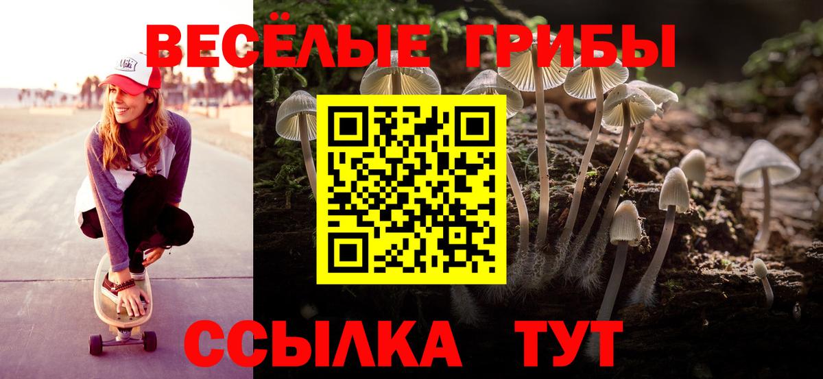 Галлюциногенные грибы Magic Shrooms Владикавказ