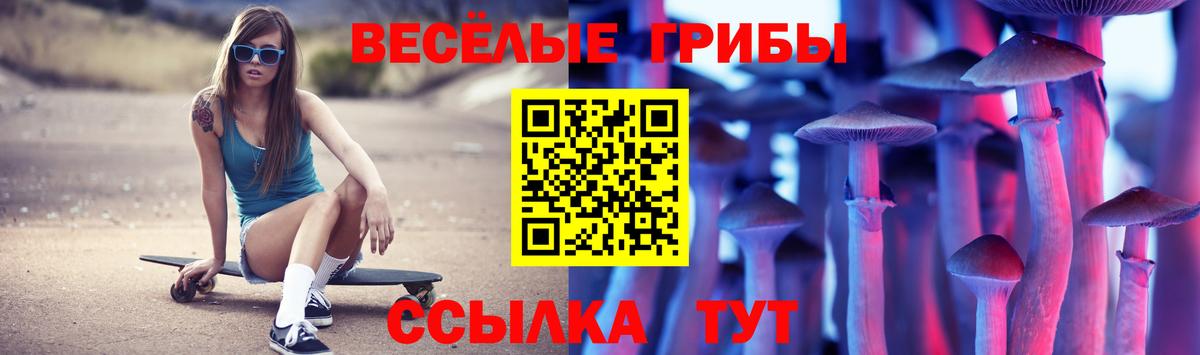 Галлюциногенные грибы GOLDEN TEACHER  Вход с VPN  Владикавказ 